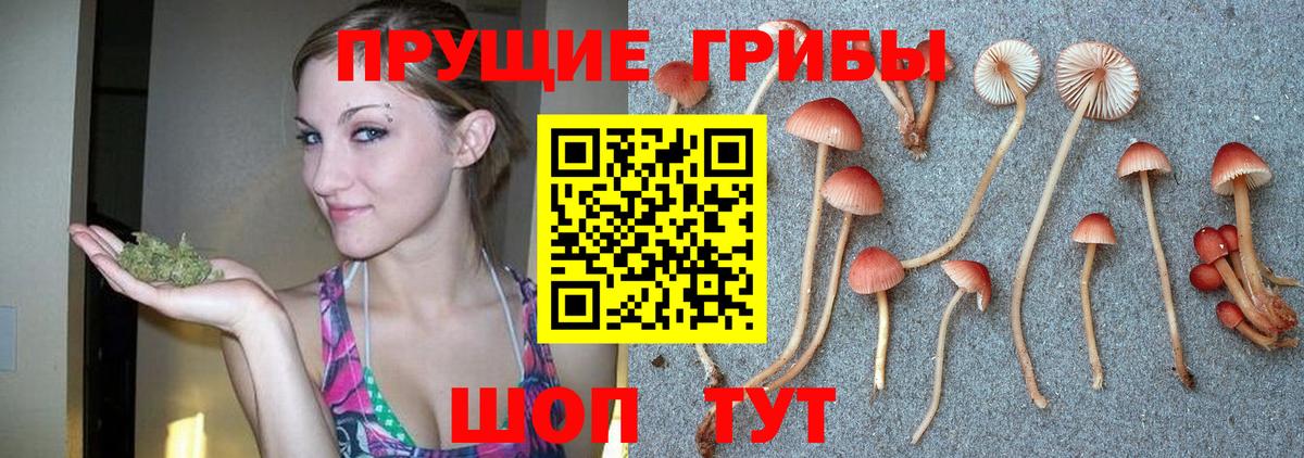Галлюциногенные грибы ЛСД Новочеркасск